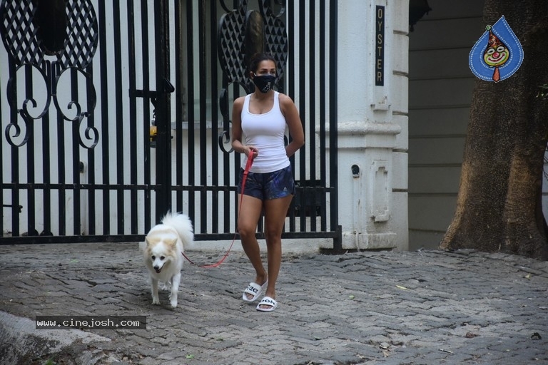 Malaika Arora Spotted At Bandra - 4 / 16 photos