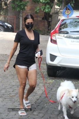 Malaika Arora Spotted At Bandra - 2 of 9