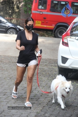 Malaika Arora Spotted At Bandra - 6 of 9