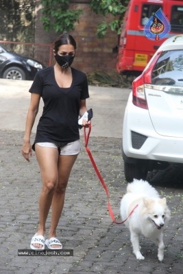Malaika Arora Spotted At Bandra - 9 of 9