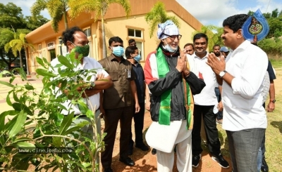 Amitabh plants trees - 3 of 10