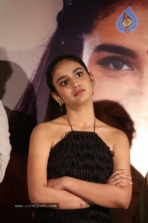 Ishq Movie Press Meet - 11 / 16 photos