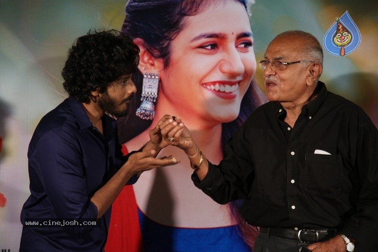 Ishq Not A Love Story Success Meet - 6 / 10 photos