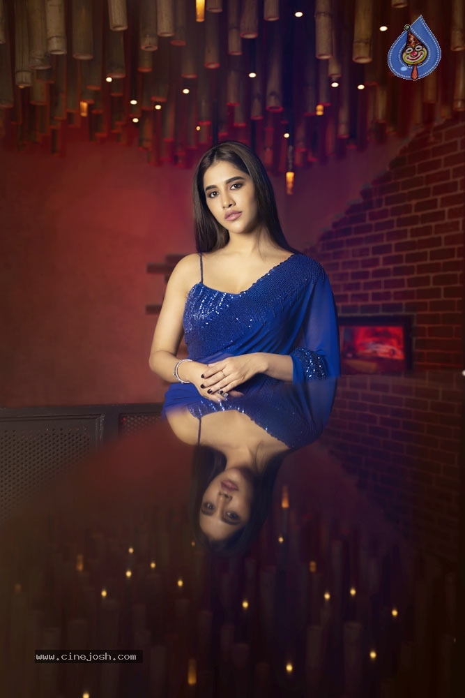 Nabha Natesh in blue saree - 1 / 5 photos