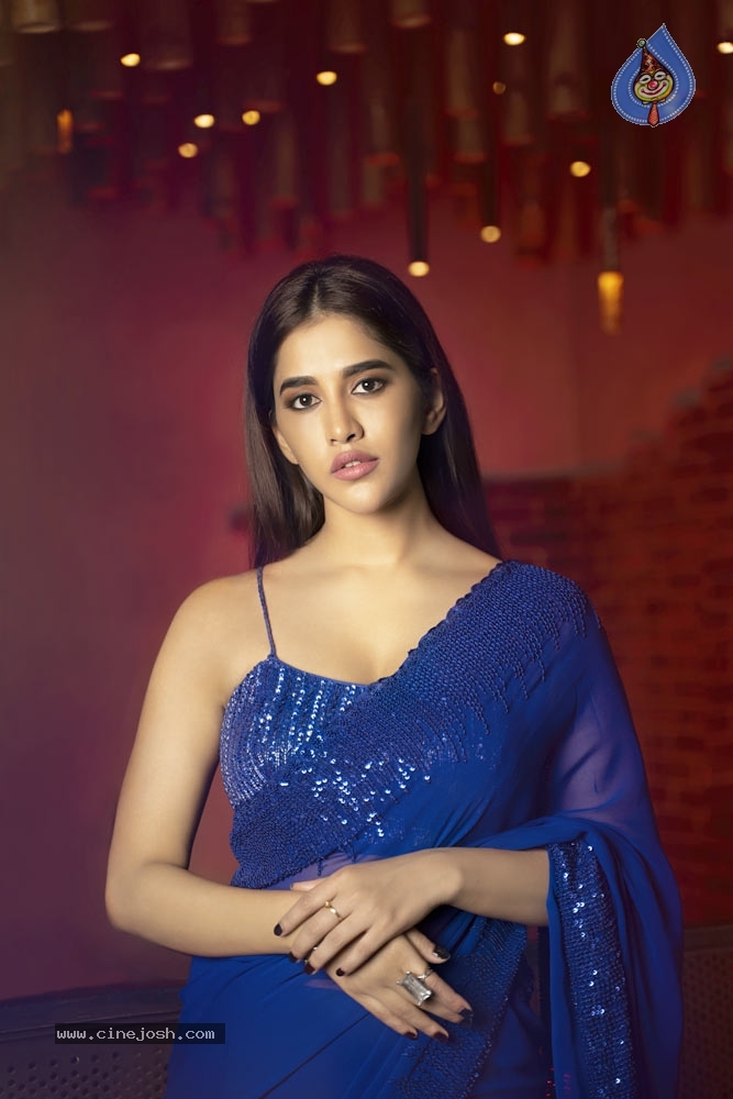 Nabha Natesh in blue saree - 2 / 5 photos