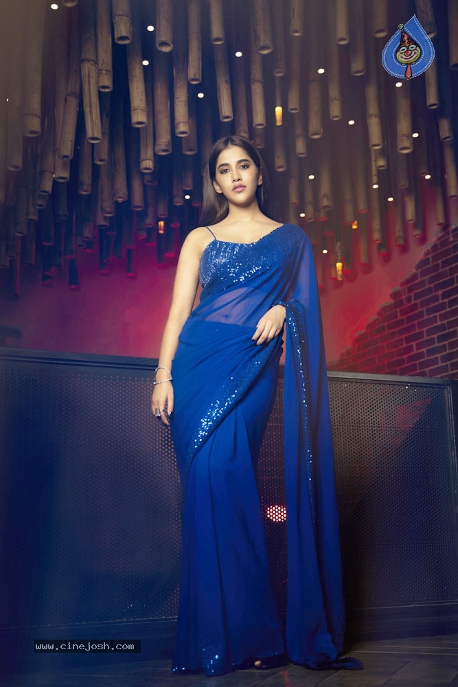 Nabha Natesh in blue saree - 4 / 5 photos