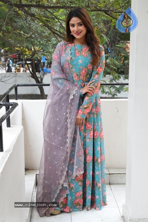 Priyanka Sharma Photos - 4 / 14 photos