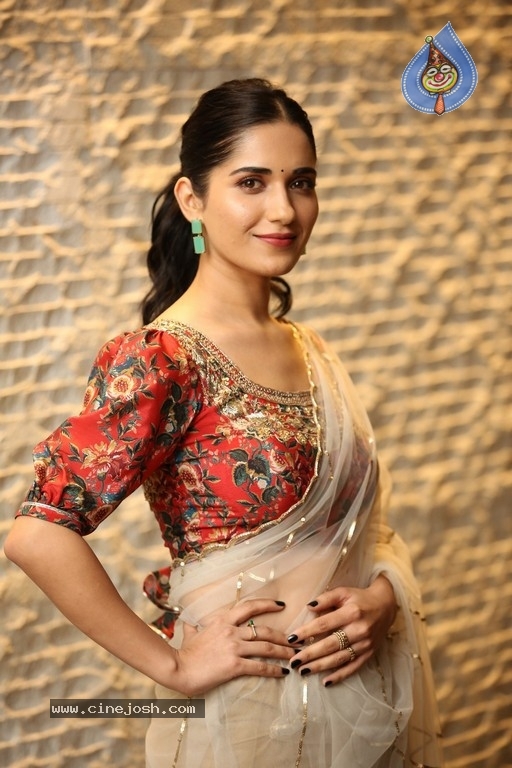 Ruhani Sharma Pics - 19 / 20 photos