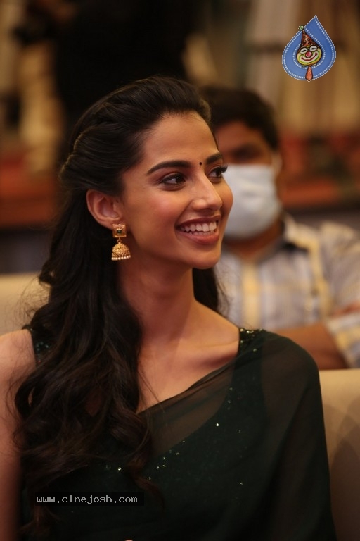 Ichata Vahanamulu Niluparadu Pre Release Event - 49 / 53 photos