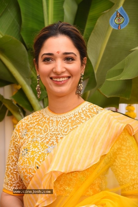 Tamannaah Bhatia Photos - 12 / 21 photos