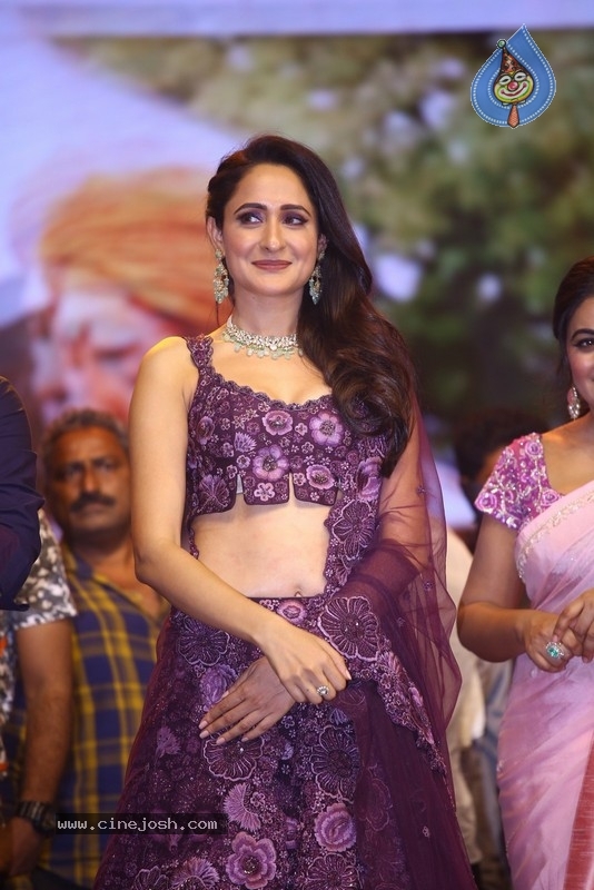 Akhanda Pre Release Event - 15 / 58 photos