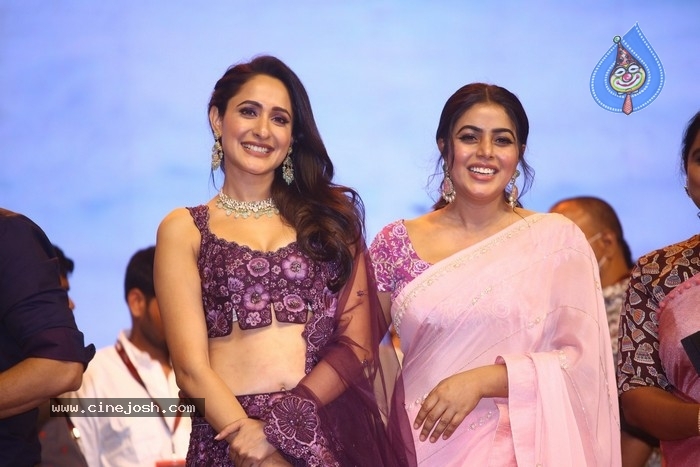 Akhanda Pre Release Event - 18 / 58 photos