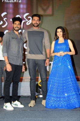 Oka Chinna Family Pre Release Event - 21 of 27