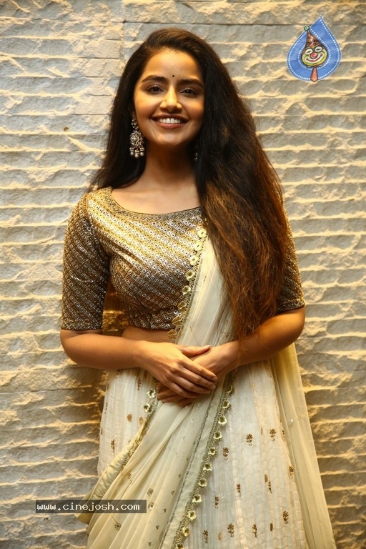 Anupama Parameswaran Photos - 10 / 18 photos