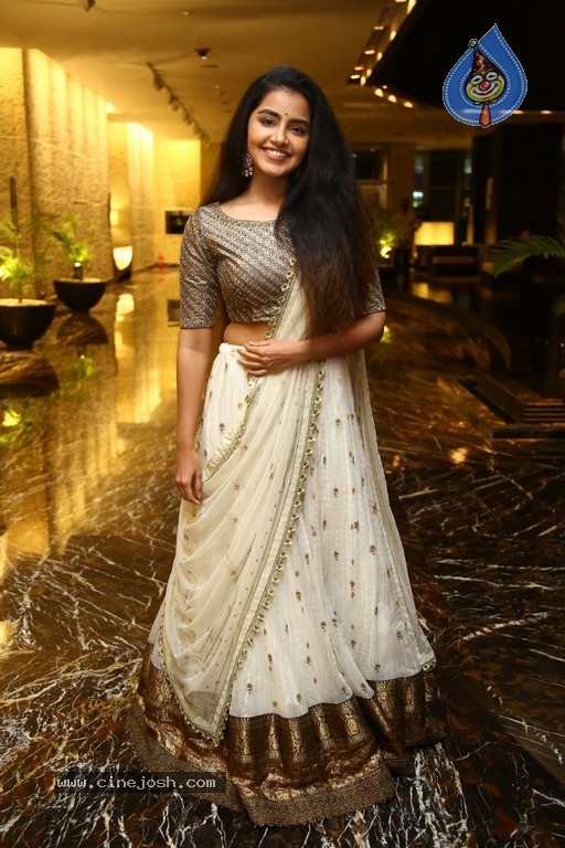 Anupama Parameswaran Photos - 17 / 18 photos