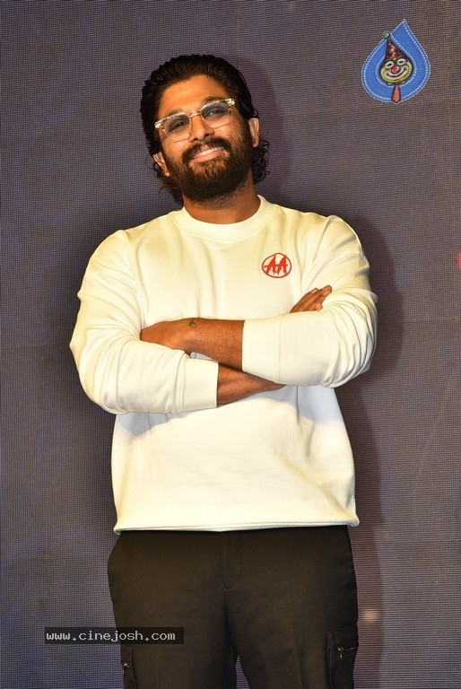 Rowdy Boys movie song launch - 37 / 41 photos