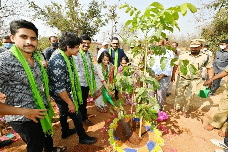 ANR Urban Forest Park - 2 / 8 photos