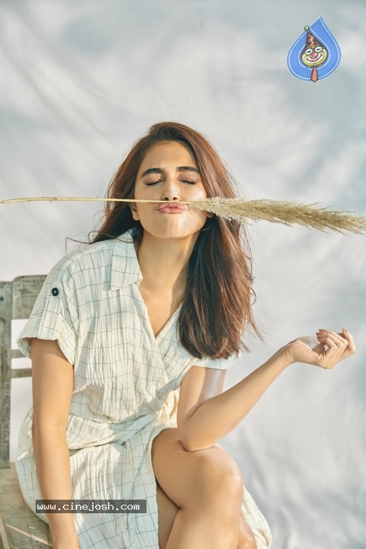 Pooja Hegde Photo Shoot Photos - 19 / 38 photos