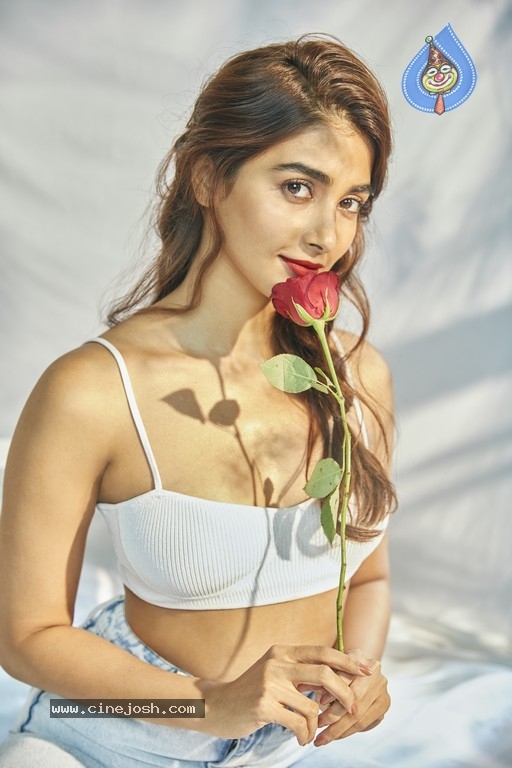 Pooja Hegde Photo Shoot Photos - 36 / 38 photos