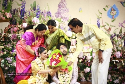 Sneha-Anmol Sharma Wedding Photos - 4 of 20