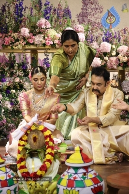 Sneha-Anmol Sharma Wedding Photos - 15 of 20