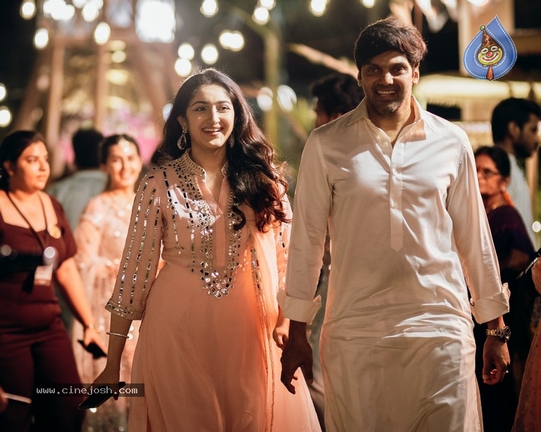 Aadhi Pinnisetty - Nikki Galrani Wedding Reception - 8 / 38 photos