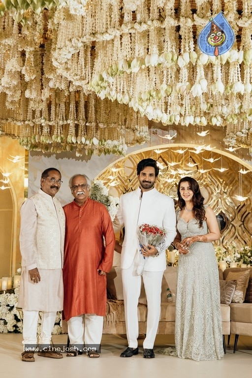 Aadhi Pinnisetty - Nikki Galrani Wedding Reception - 20 / 38 photos
