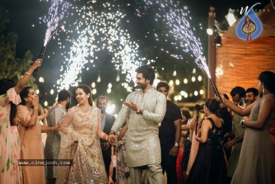 Aadhi Pinnisetty - Nikki Galrani Wedding Reception - 26 of 38