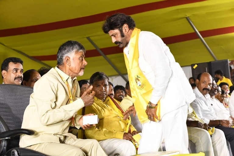 TDP Mahanadu photos - 2 / 14 photos