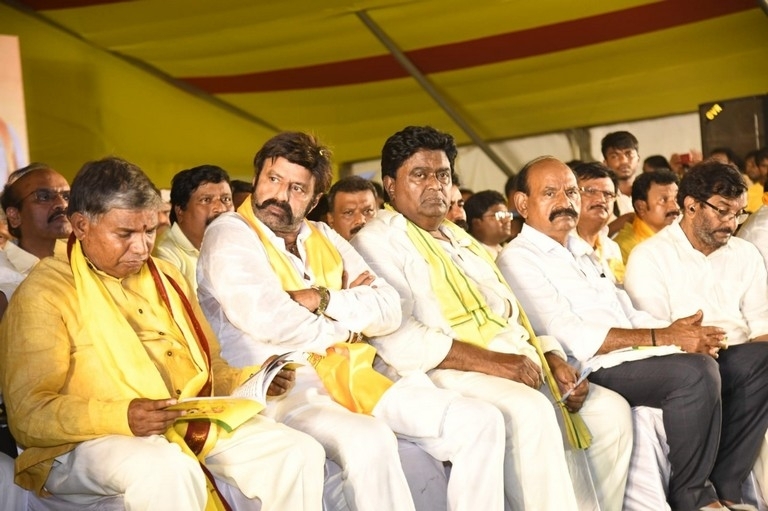 TDP Mahanadu photos - 9 / 14 photos