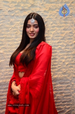 Ketika Sharma Photos - 11 of 20