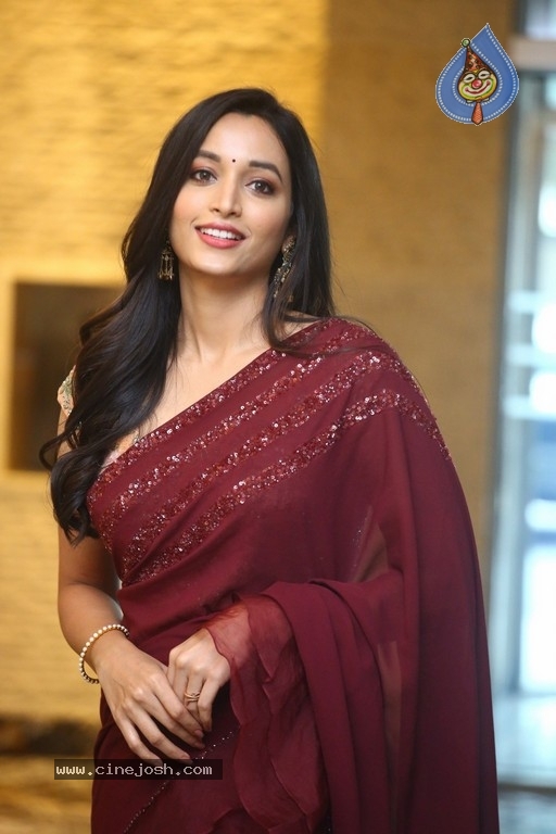 Srinidhi Shetty Photos - 12 / 16 photos