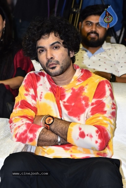 Karthikeya 2 Pre Release Event - 22 / 30 photos