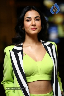 Sonal Chauhan Photos - 14 of 20