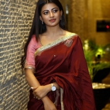 Anandhi Photos