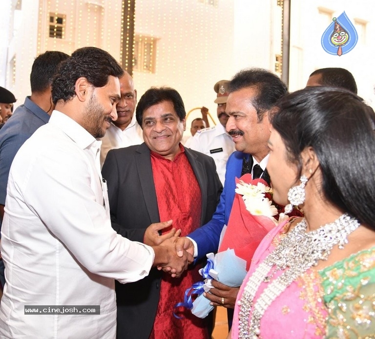 Ali Daughter Wedding Reception - 16 / 20 photos