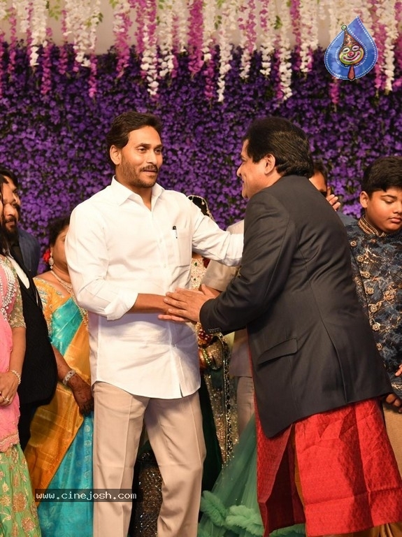 Ali Daughter Wedding Reception - 19 / 20 photos