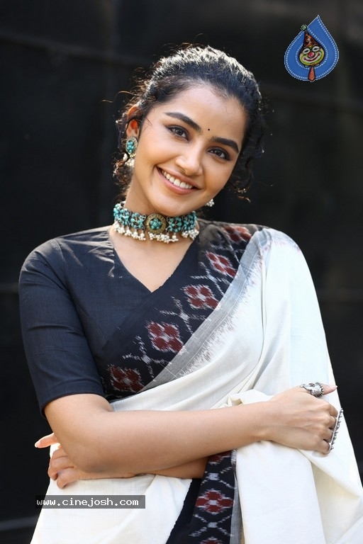 Anupama Parameswaran Photos - 1 / 21 photos