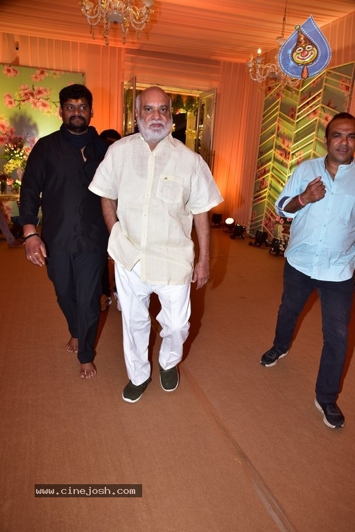 Neelima Guna & Ravi Prakhya Wedding Reception - 4 / 29 photos