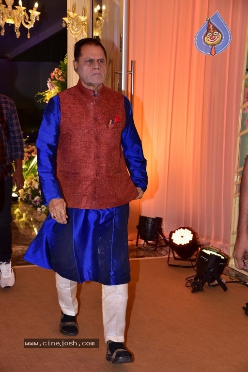 Neelima Guna & Ravi Prakhya Wedding Reception - 18 / 29 photos