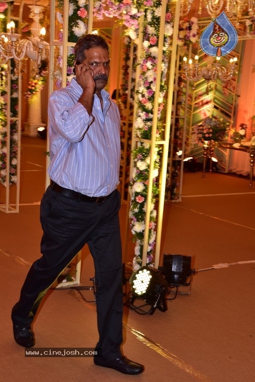 Neelima Guna & Ravi Prakhya Wedding Reception - 26 / 29 photos