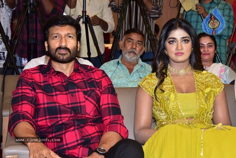 Rama Banam Press Meet - 6 / 21 photos