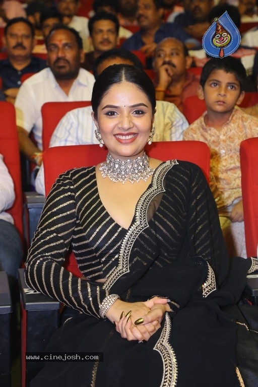 Bholaa Shankar Pre Release Event - 42 / 47 photos