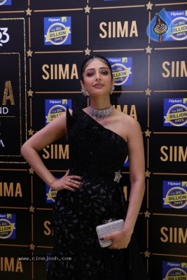 SIIMA Awards 2023 Photos - 61 of 115