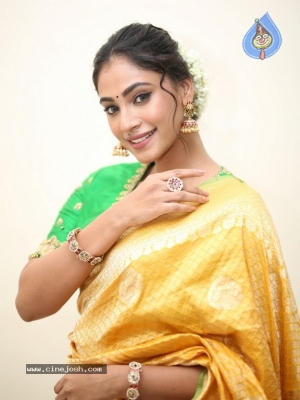 Anukreethy Vas Photos - 6 of 36