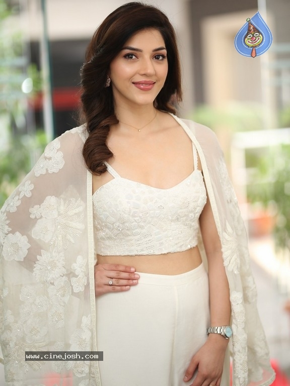 Mehreen Pirzada Photos - 4 / 21 photos