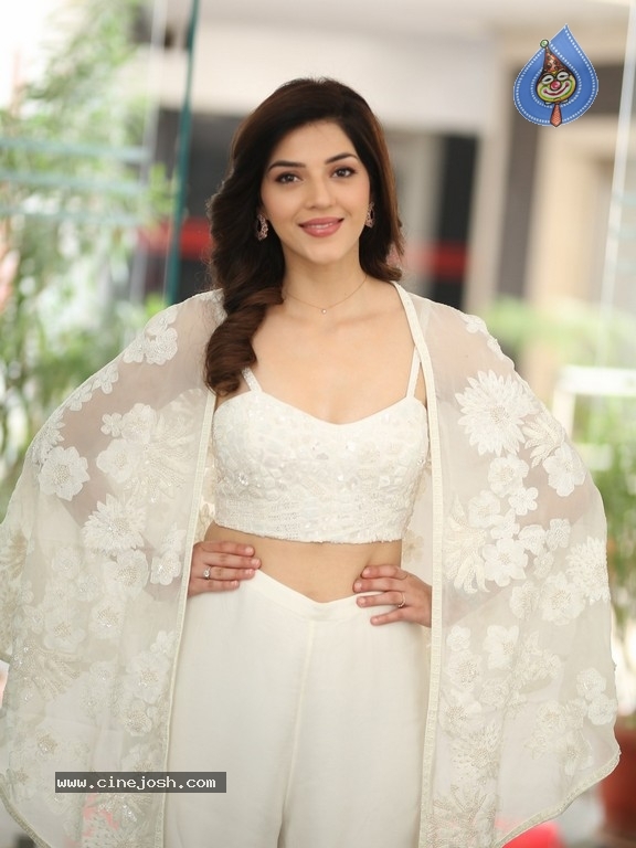 Mehreen Pirzada Photos - 9 / 21 photos