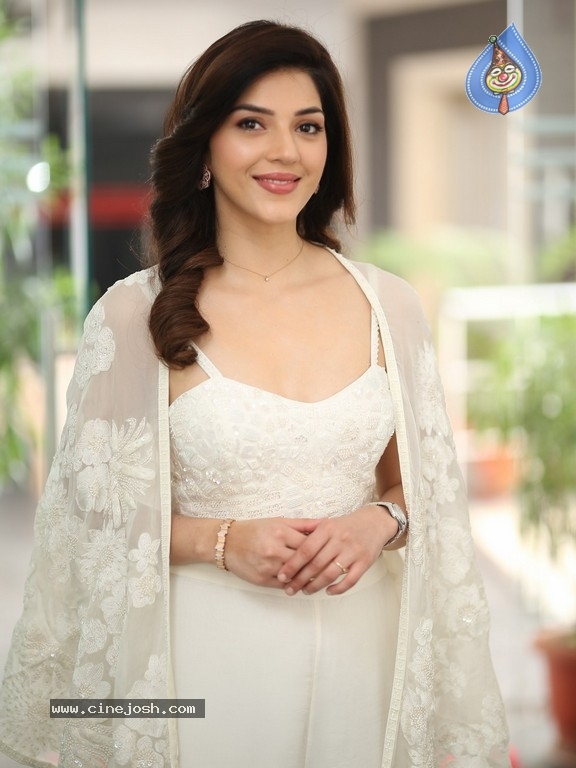 Mehreen Pirzada Photos - 13 / 21 photos