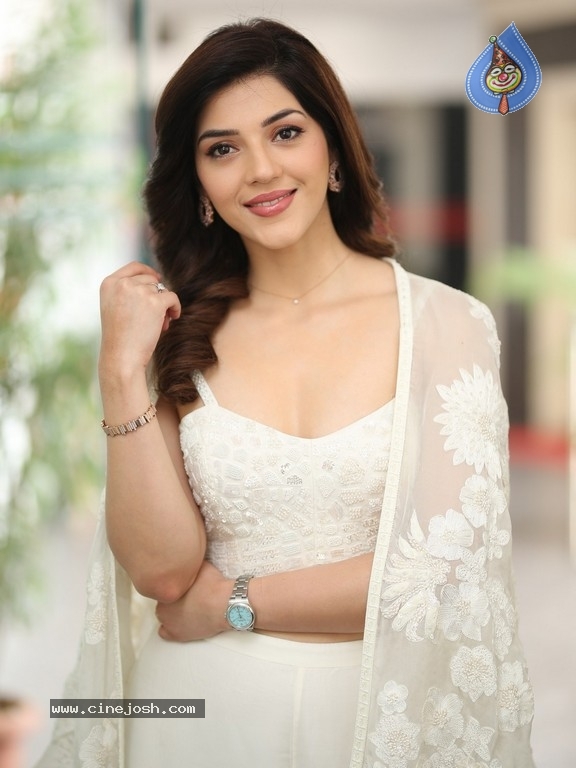 Mehreen Pirzada Photos - 21 / 21 photos