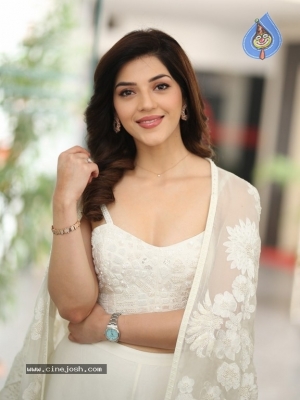 Mehreen Pirzada Photos - 14 of 21